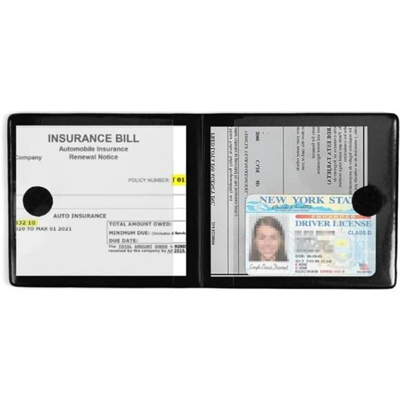 Auto Essential Registration and Insurance Holder 2-Pack Interior Accessories - Picture 4 of 7